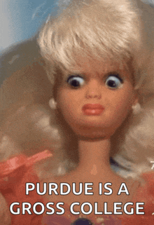 a picture of a barbie doll with the words purdue is a gross college