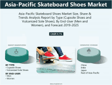 asia-pacific skateboard shoes market size share & trends analysis report by type ( cupsole shoes and vulcanized sole shoes )