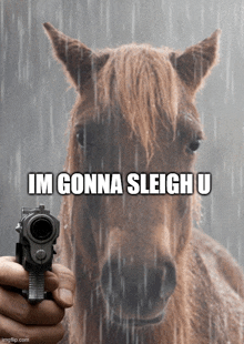 a person pointing a gun at a horse with the words im gonna sleigh u below it