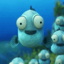 a group of fish with big eyes are swimming in the water