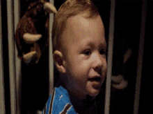 a young boy in a blue shirt is standing in front of a fence and looking at the camera .