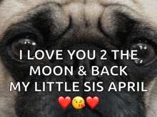 a close up of a pug with the words i love you 2 the moon and back my little sis april