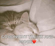 a kitten sleeping on a bed with the words goodnight travis and annie