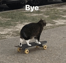 a cat is riding a skateboard on a sidewalk with the words `` bye '' above it .