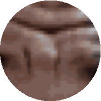 a pixelated image of a brown circle with a white background ..