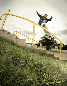 a skateboarder is doing a trick on a railing with a palm tree in the background