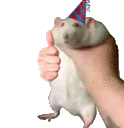 a person is holding a rat in a party hat and giving it a thumbs up .