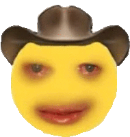 a smiley face with a cowboy hat on it