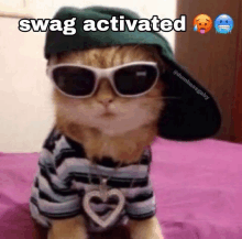 a cat wearing sunglasses , a hat , and a necklace with a heart pendant .