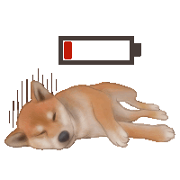 a shiba inu dog is laying down with a battery that is empty