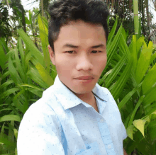 a young man in a blue shirt stands in front of a green plant