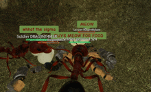 a screenshot of a video game where soldier dragont4m3ruys and meow for food are talking