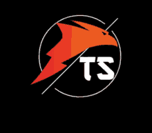 a logo for a company called ts with a lightning bolt in the center