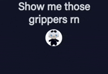 a picture of a stuffed animal with the words show me those grippers rn above it