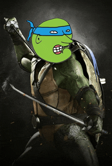 a teenage mutant ninja turtle holding a sword