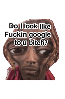 a picture of an alien with the words do i look like fuckin google to u bitch below it