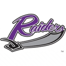 the raiders logo is purple and gray and has a sword in the middle .