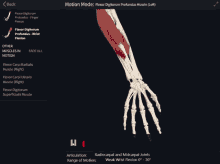 a screen shows a skeleton and muscles in motion