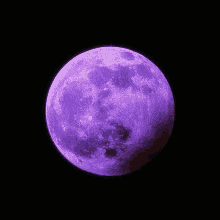 a purple full moon is against a black background