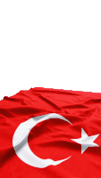 the flag of turkey has a crescent moon and star on it