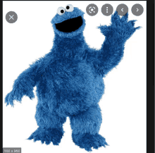 a picture of cookie monster from sesame street is displayed on a white background