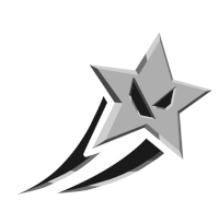 a silver star with a black stripe on it