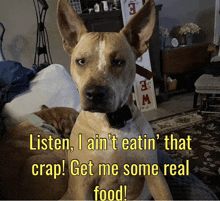 a dog with the words listen i ain t eatin ' that crap get me some real food