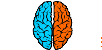 a drawing of a brain showing the left and right sides