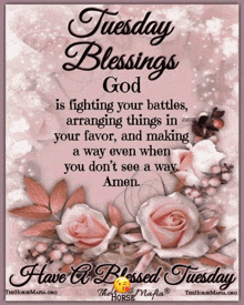 a poster that says tuesday blessings god is fighting your battles arrange things in your favor