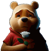 a sad winnie the pooh bear holding a white rose