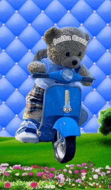 a teddy bear riding a blue scooter with the name anita cruz written on it