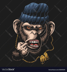 a monkey wearing a hat , sunglasses and a chain with the letter m on it .