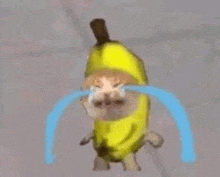 a cat wearing a banana costume is crying with tears running down its face .