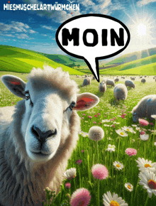 a sheep in a field with a speech bubble that says " moin "