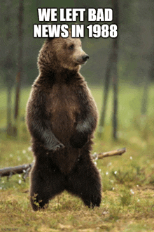 a bear standing on its hind legs with the words we left bad news in 1988