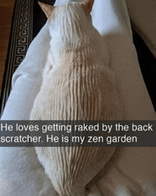 a cat laying on a couch with a caption that says he loves getting raked by the back scratcher