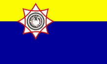 a blue and yellow flag with a white star on top