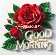 a red rose with green leaves and the words good morning on it