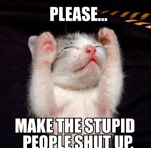 a kitten with its paws up and the words please make the stupid people shut up above it