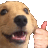 a close up of a dog giving a thumbs up