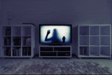 a silhouette of a person is on a television screen