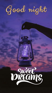 a person holding a lantern with the words good night sweet dreams