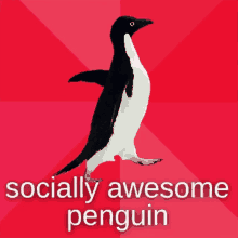 a penguin on a red background with the words socially awesome penguin