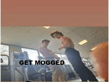 a picture of two men in a gym with the words get mogged below them .