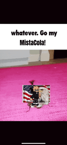 a cat is sitting on a pink rug with a picture of an eagle and the words `` whatever go my mistacola '' .