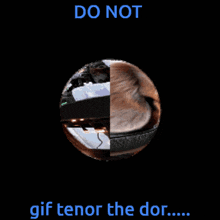 a picture of a dog with the words do not gif tenor the dor above it