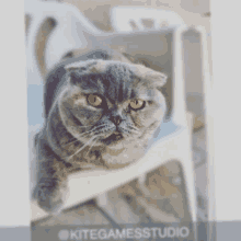 a cat sitting on a white chair with the words kitegamesstudio on the bottom