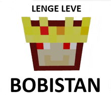 a picture of a minecraft character with the name bobistan