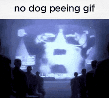 a group of people standing in front of a screen that says ' no dog peeing gif ' on it .