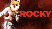 a man with boxing gloves and a dog on his head is standing in front of the word rocky .